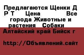 Предлагаются Щенки Д.Р.Т.  › Цена ­ 15 000 - Все города Животные и растения » Собаки   . Алтайский край,Бийск г.